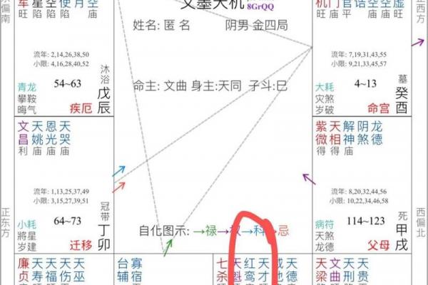 红鸾陷紫薇斗数