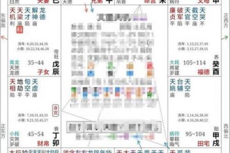 紫薇斗数慈禧命盘