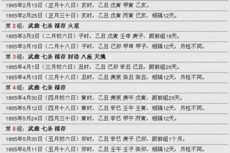 紫微命盘查询免费算命