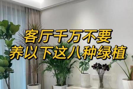 客厅摆放植物风水原则