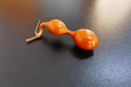 风水开光葫芦可以化解煞气吗？效果好不好？