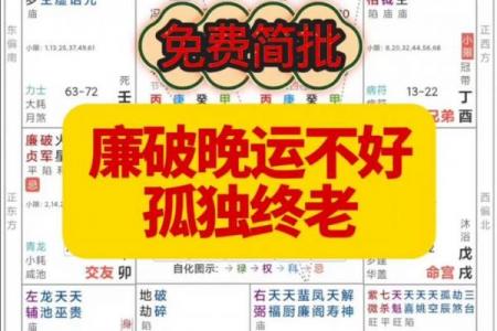 紫薇斗数晚运