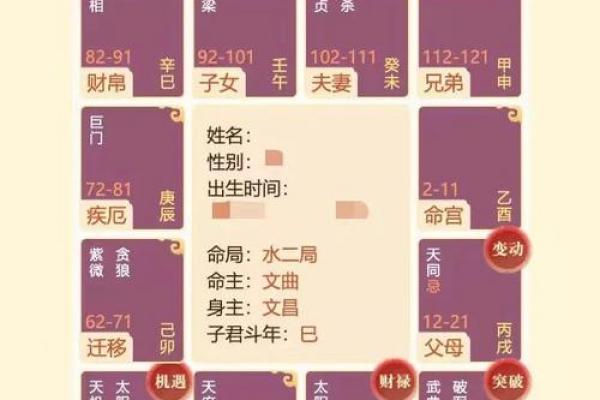 紫薇斗数先天命盘和大运命盘什么意思