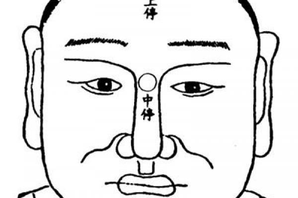 面相算命入门：三停，什么是三停？