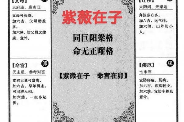 帅哥紫薇斗数