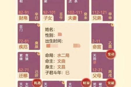 紫薇斗数先天命盘和大运命盘什么意思