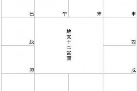 科紫薇斗数