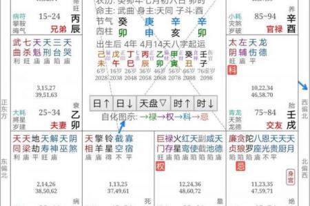 紫薇斗数114