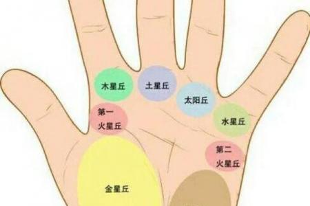 女人手纹算命图解,有福气的女人手相