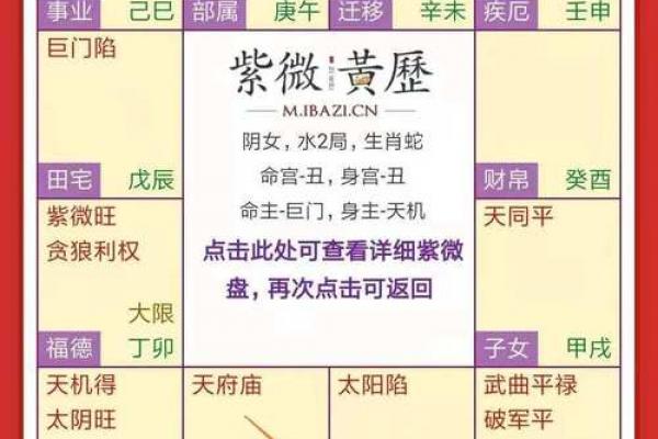 紫薇斗数看理财
