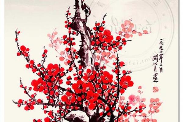 梅花窗花风水