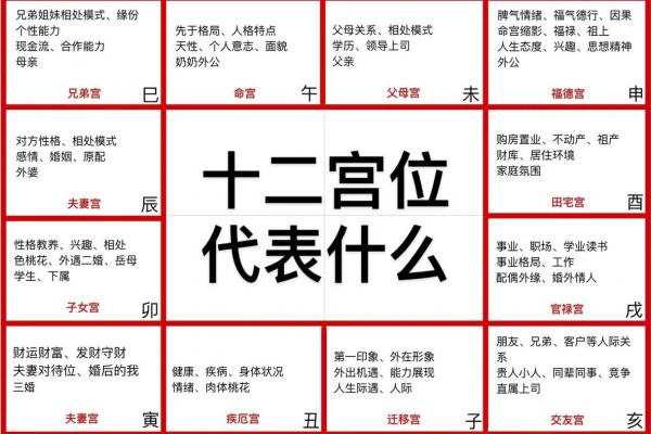 惯索紫薇斗数