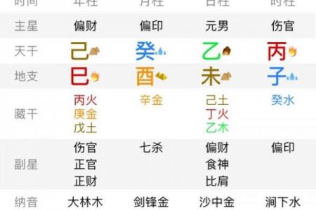 八字己巳