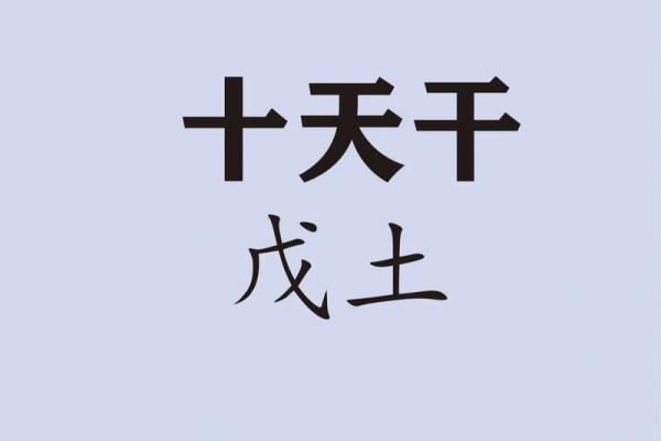八字戊土