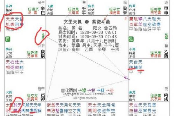 紫薇斗数夫福线