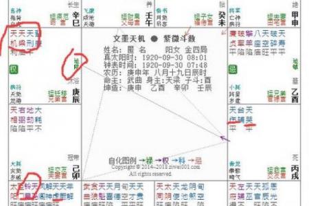 紫薇斗数夫福线