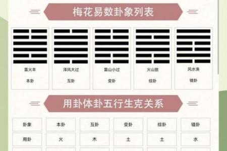 数字八字命理学