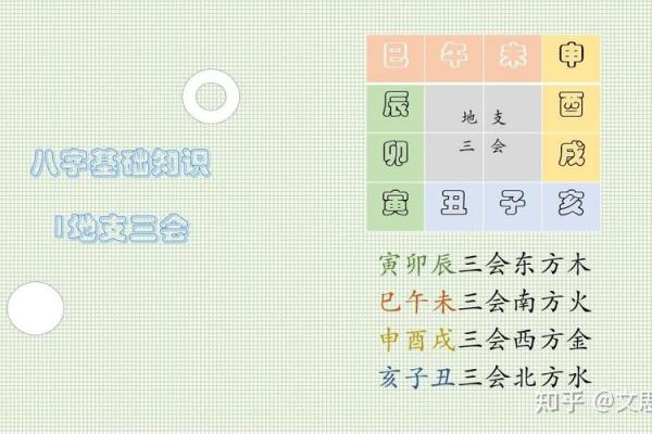 八字地支三会是怎么应用的? 八字地支三会是怎么应用的?