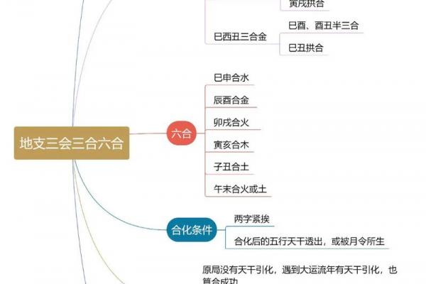 八字地支三会是怎么应用的? 八字地支三会是怎么应用的?