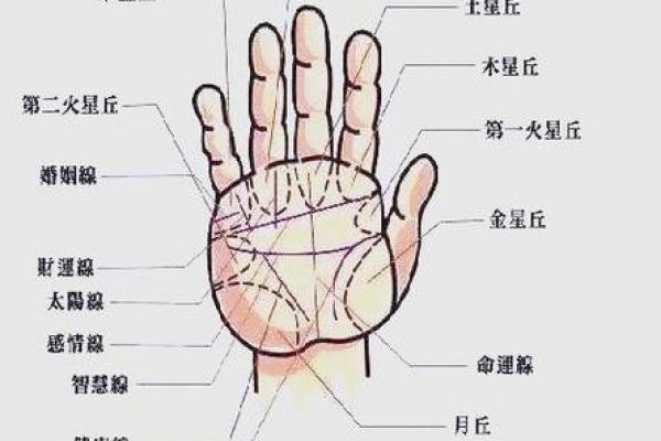 有横财偏财的手相女命八字 有横财偏财的手相女命八字