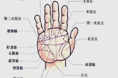 有横财偏财的手相女命八字