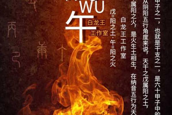 被算命的说命太金贵