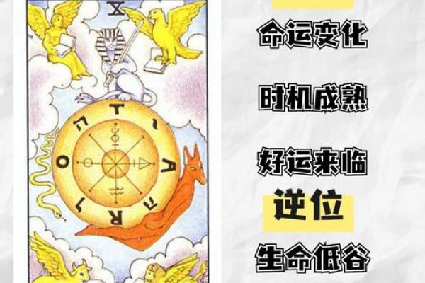 塔罗和星盘是算命,星盘占卜准吗