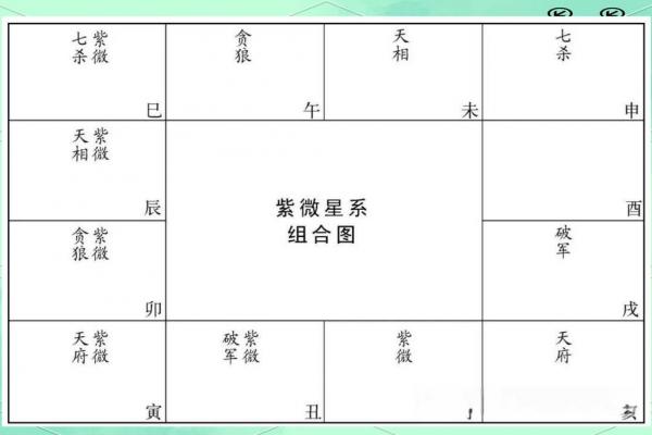 紫微斗数怎么排盘